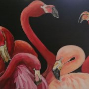 flamingos_web